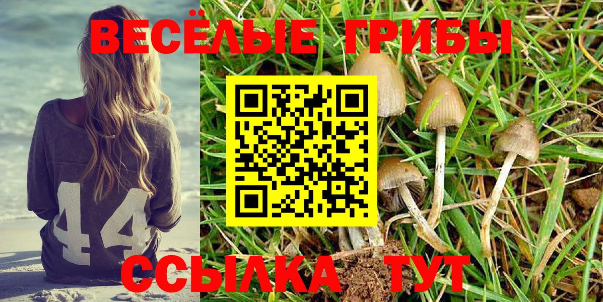 Псилоцибиновые грибы Psilocybine cubensis  Вход с VPN  Псилоцибиновые грибы мухоморы  Анжеро-Судженск 